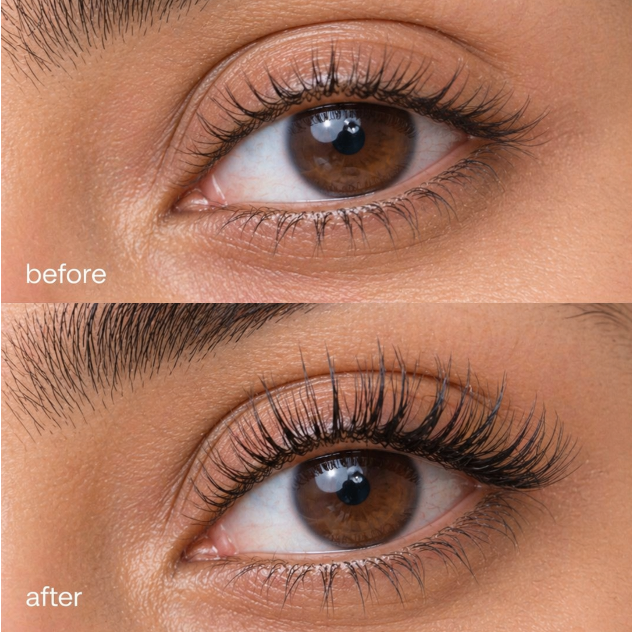 Eyecirque Lash & Brow Enhancing Serum